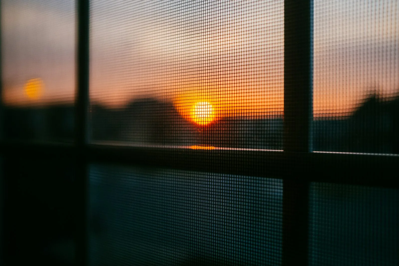 Insektenschutzgitter an einem Fenster mit Blick in den Abendhimmel