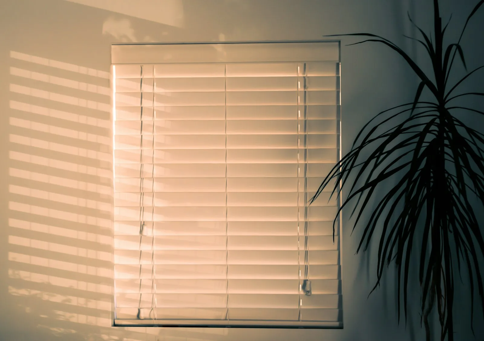 Helle Jalousie vor einem sonnigen Fenster